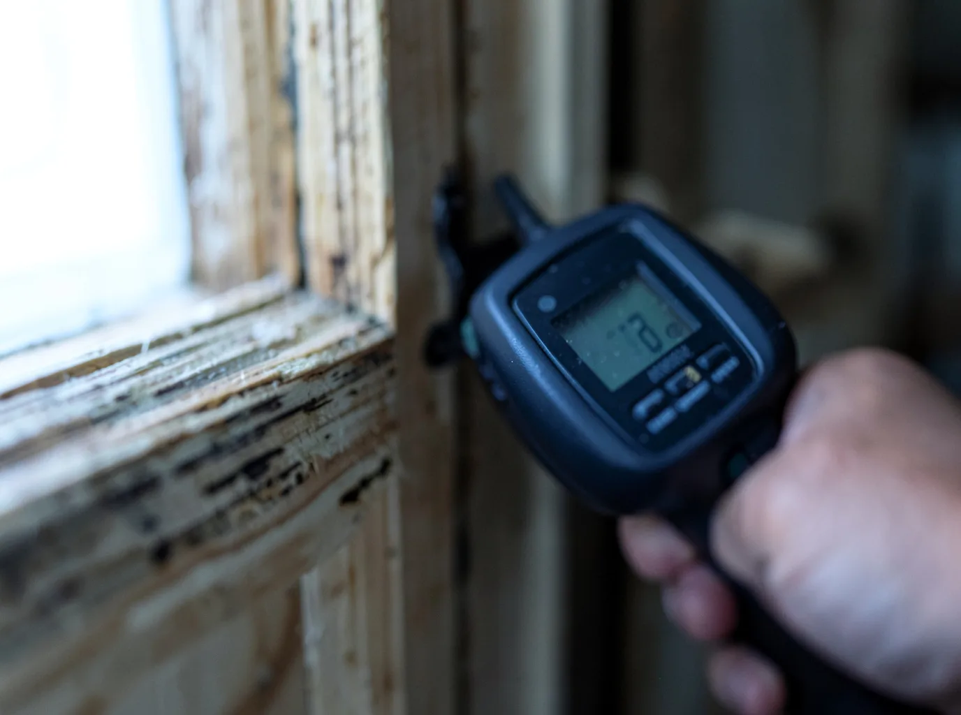 Moisture Inspection And Documentation in Stockland, IL